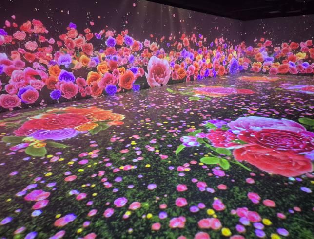 디지털실감영상관