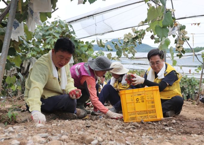 김동연 경기도지사, 가평 수해현장서 자원봉사 동참
