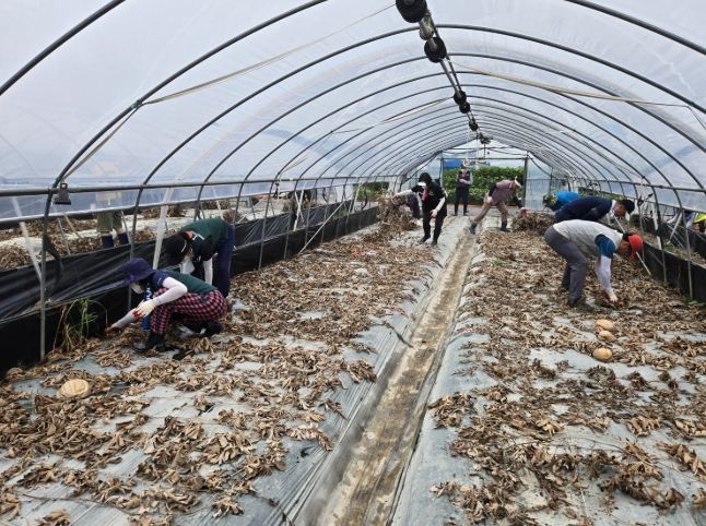 수해 피해 복구활동