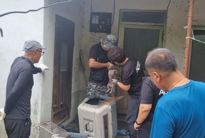 “김제시 유기동물보호센터 극심한 피부병 앓는 유기견 11마리 극적 구조”