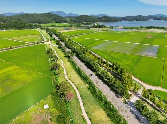 진교파크골프장