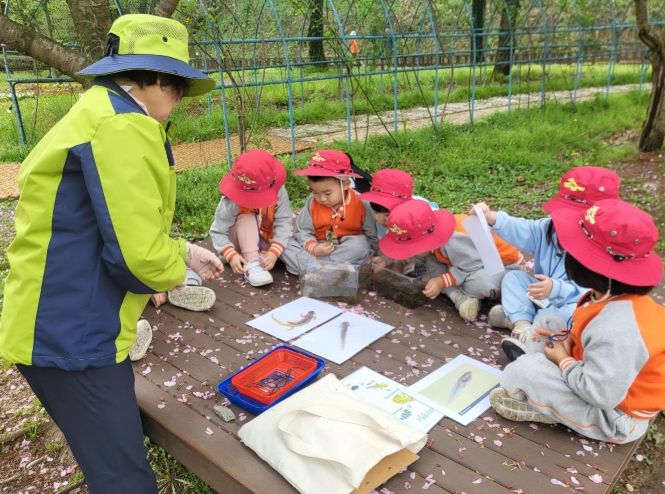 지역 어린이들이 자연과 교감하고 정서적 안정과 건강한 발달을 도모하는 대덕구 유아숲체험원 프로그램 활동을 하고 있다