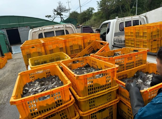 양식장 대상 방제장비·물품·보험료 전방위적 지원