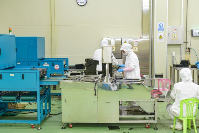 목포 김 가공 현장